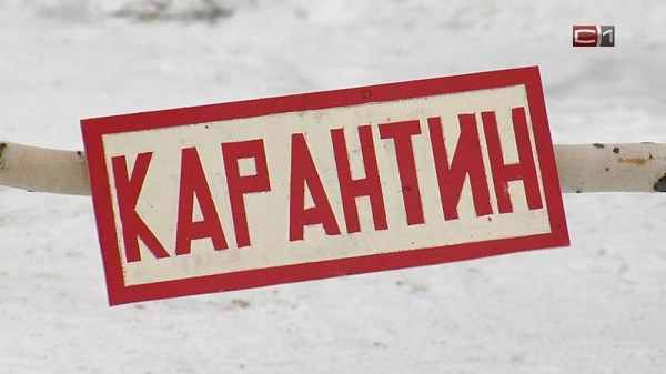 Канада закрывает границы для трёх стран Африки: Эбола стала поводом для жёсткого карантина