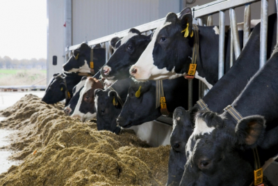 Рекомендации Роспотребнадзора по профилактике коронавируса