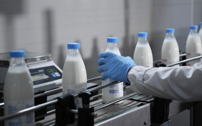 Молоко, сыр и йогурт под запретом? Не только: полный список неочевидных продуктов, которые тайно "кормят" вашу непереносимость